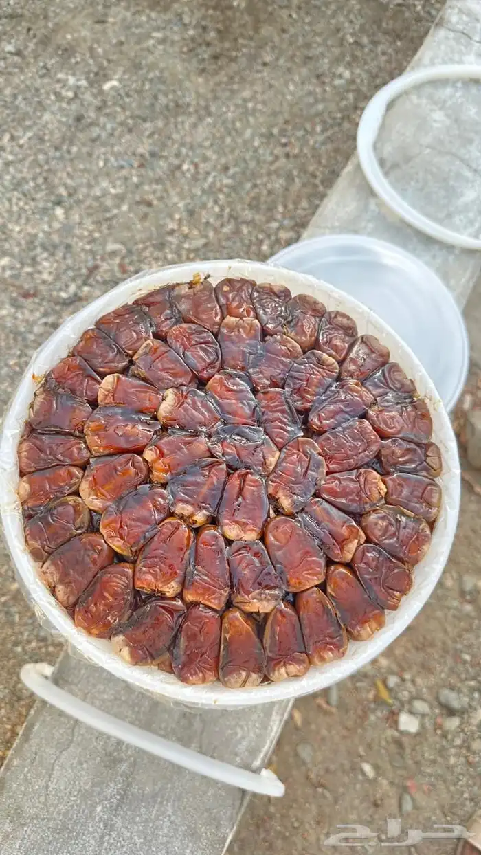 تمر برني -كعيمر العيص من مزارع الفرع 0