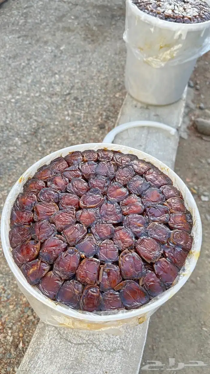 تمر برني -كعيمر العيص من مزارع الفرع 3