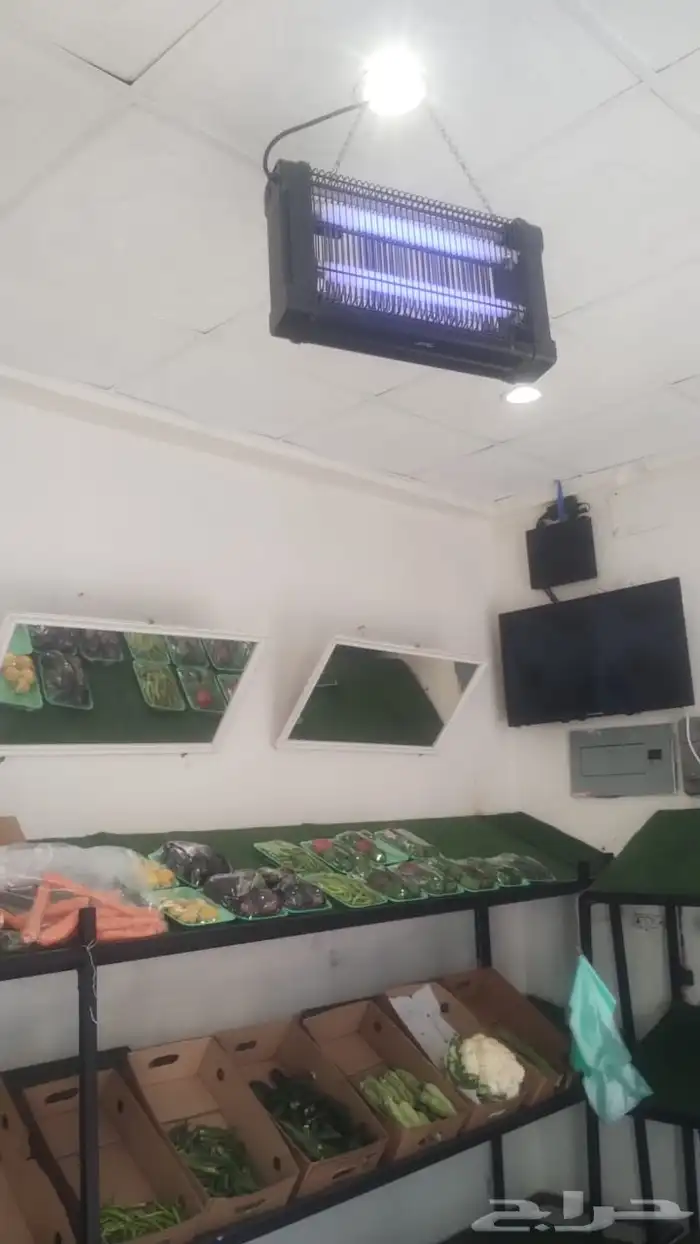 محل خضار وفواكة للتقبيل 2