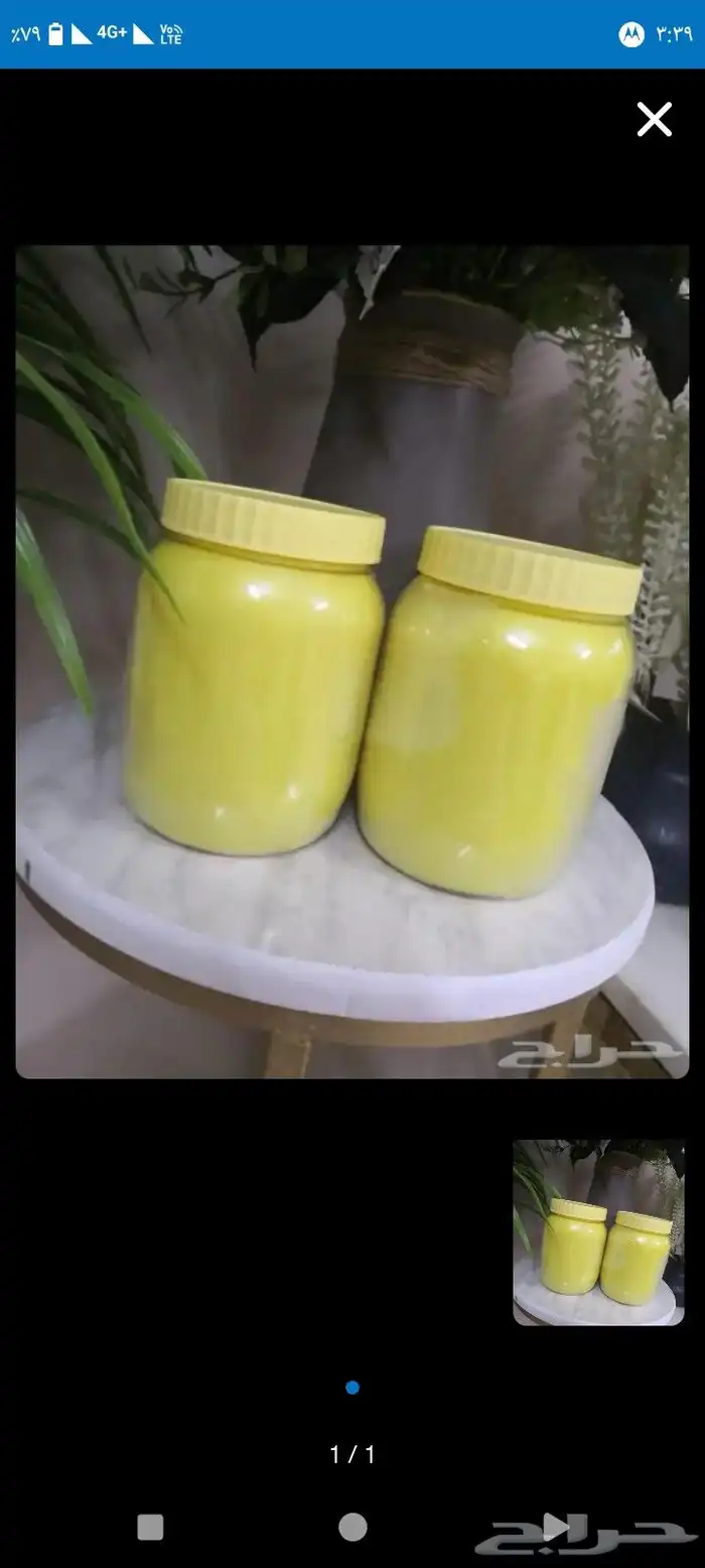 اوجد لدينا زبده ماعز وضان وبقر 8