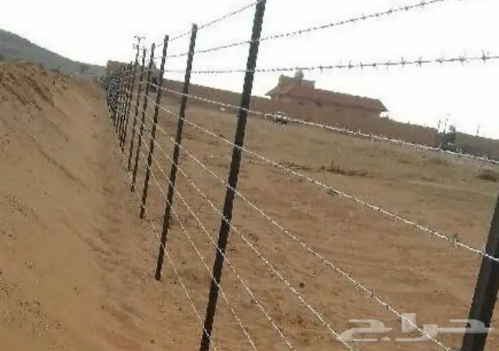 مقالات شبوك في جميع أنحاء المملكة العربية السعودية 8