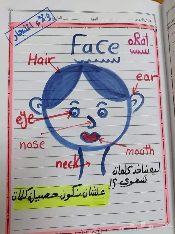 معلمة انجليش ورياضيات 3