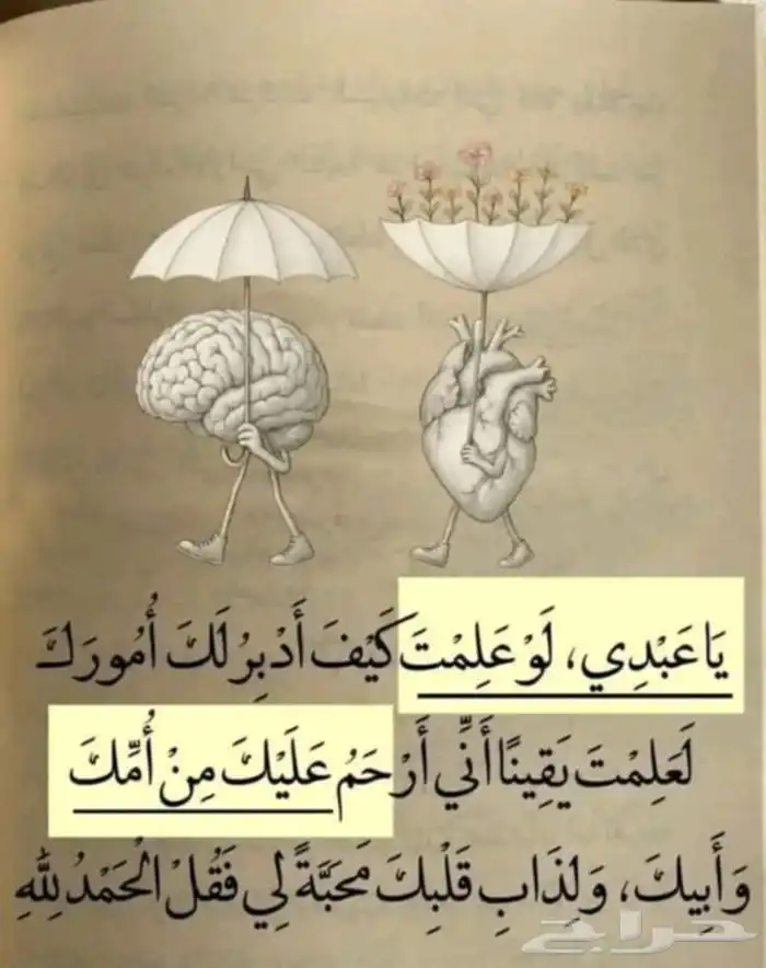 فوردتورس تيتانيوم 2026 9