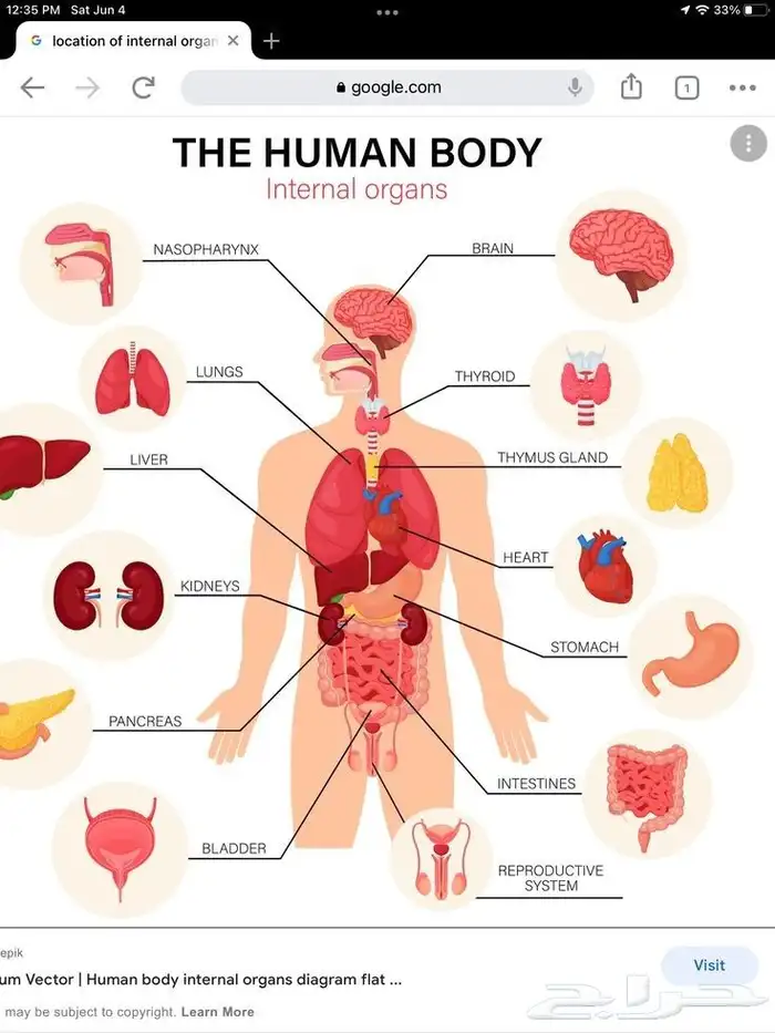 دكاتره لشرح جميع محاضرات الكليات الطبيه 0