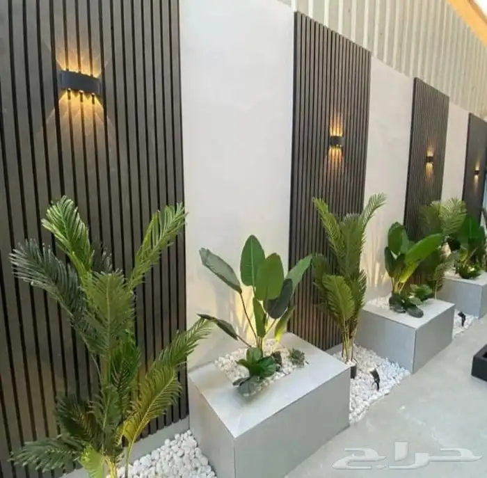 زراعه جميع انواع الاشجار والنخل والنجيل كل ما يتعلق بالزراعه 10