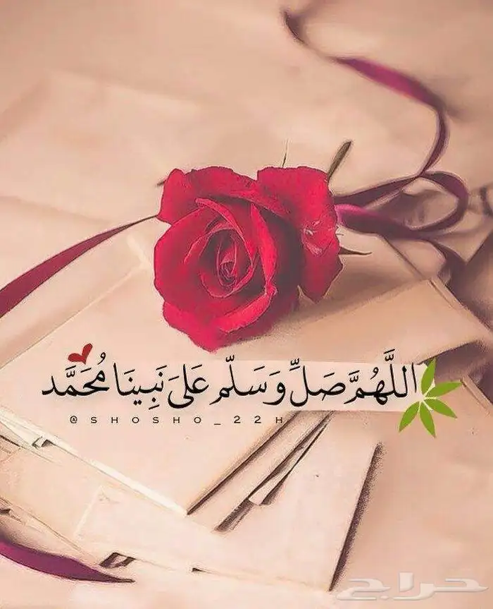 مطلوب شقه جديده اجار 0