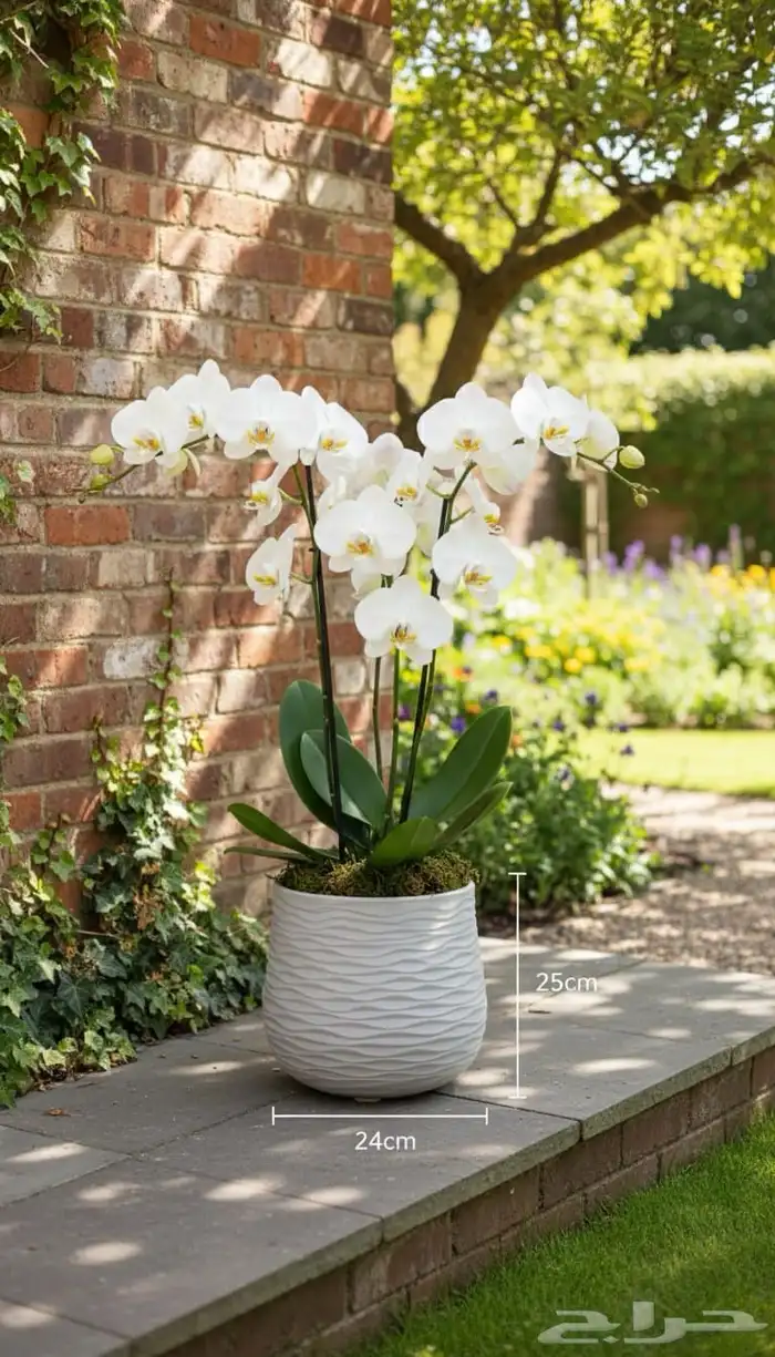 مراكن وأحواض زراعيه 1