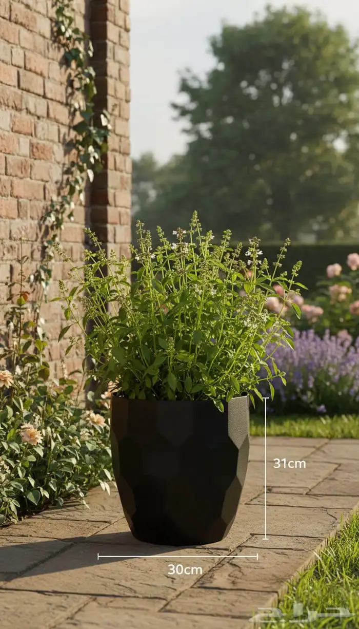 مراكن وأحواض زراعيه 0