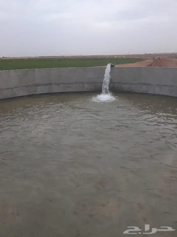 شغل حزنات ديري 1