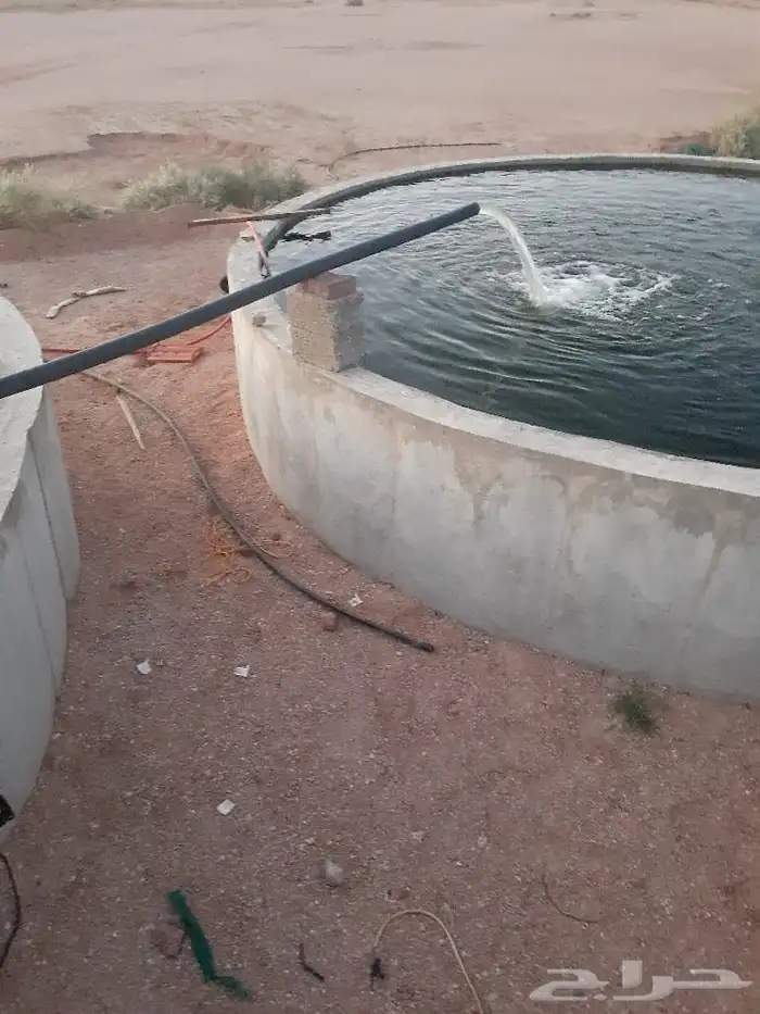 شغل حزنات ديري 0