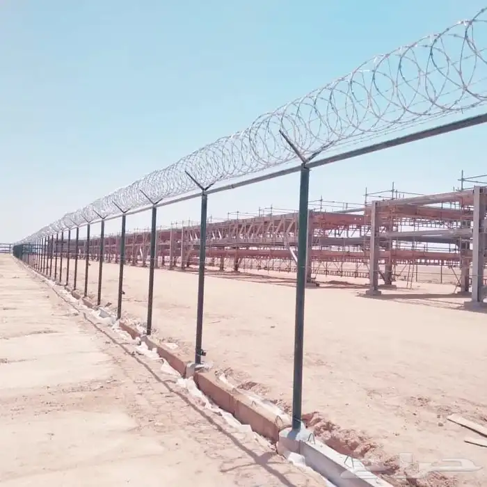 مقالات شبوك في جميع أنحاء المملكة العربية السعودية 7