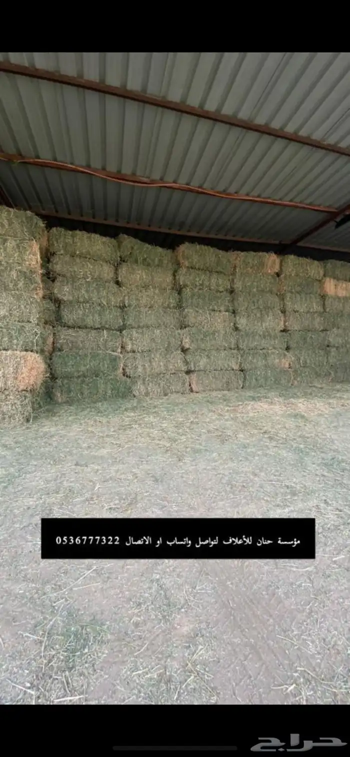أعلاف الغدير والشعير والأسوار 14