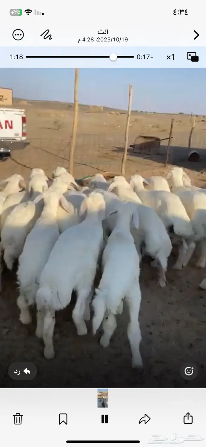 بهم فاخر. تم البيععع 4