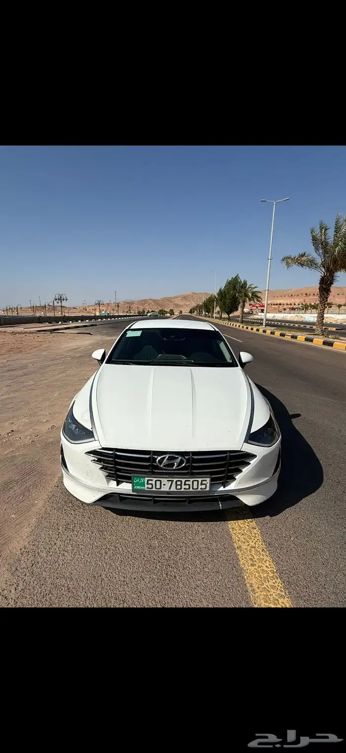 عمان تبوك الاردن السعويه 2