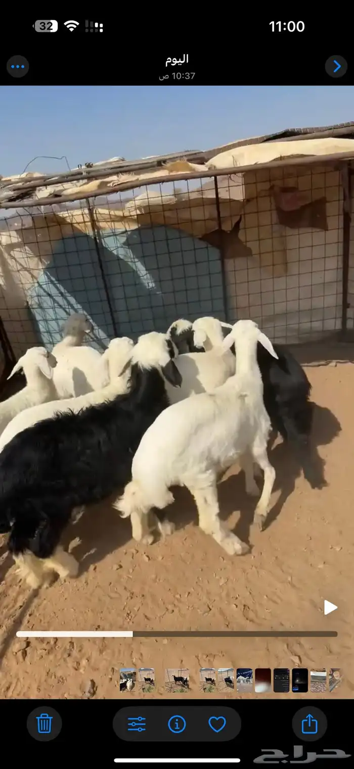 بهم 0