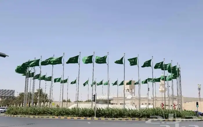 علم ساريه تفصيل 1