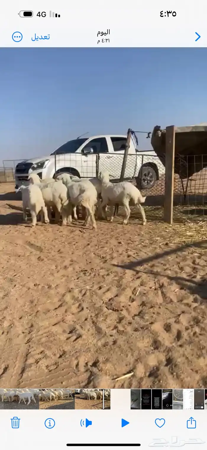 للبيع 0