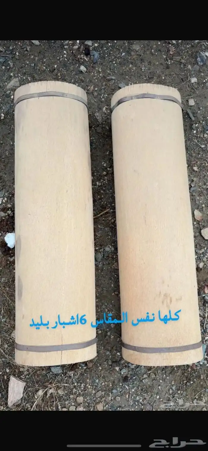 خلايا نحل بلدي 2