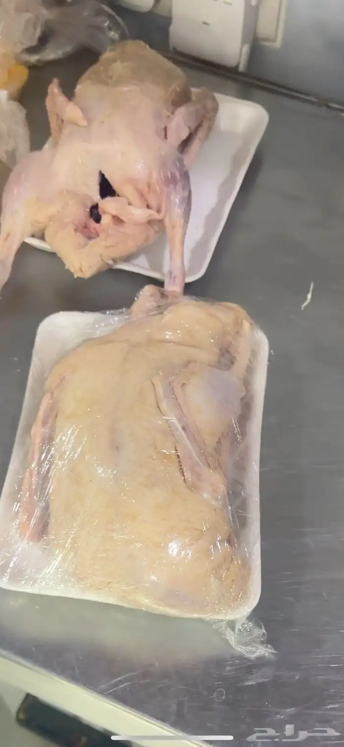 بط بكيني طازج   لأصحاب المحلات والمطاعم 1
