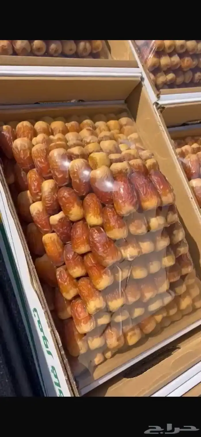 صقعي ملكي تمر 0