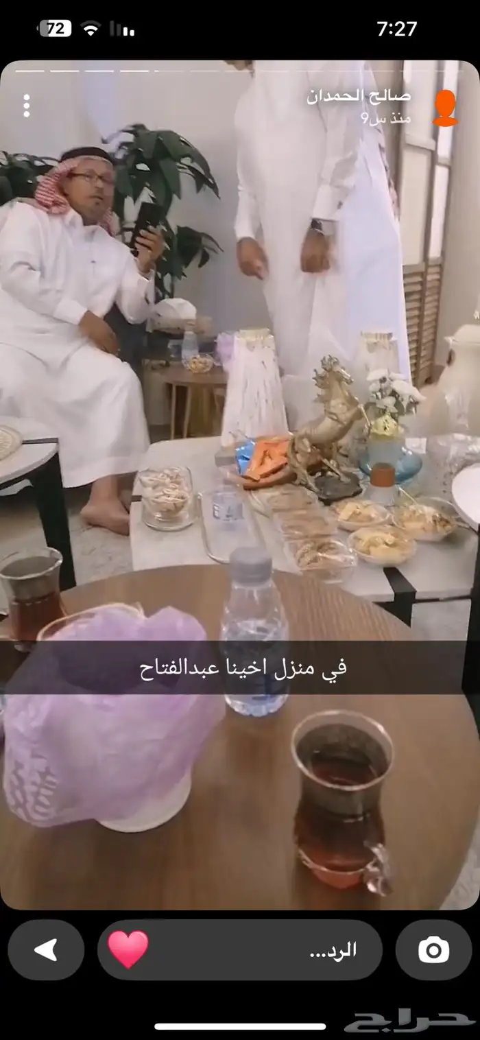 قطط لتبني 3