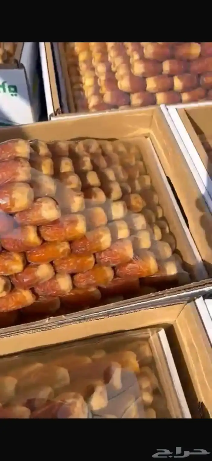 صقعي ملكي تمر 3