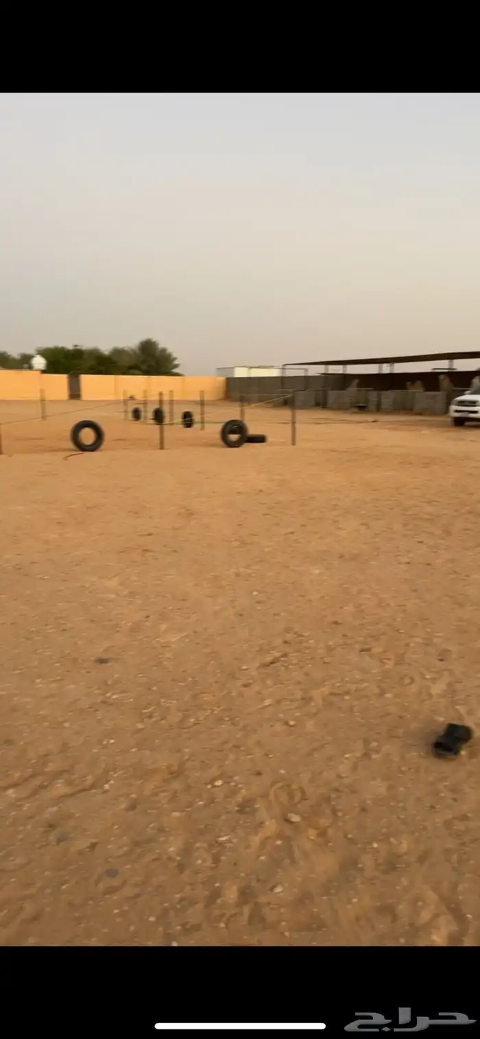 اسطبل ايواء خيل 1