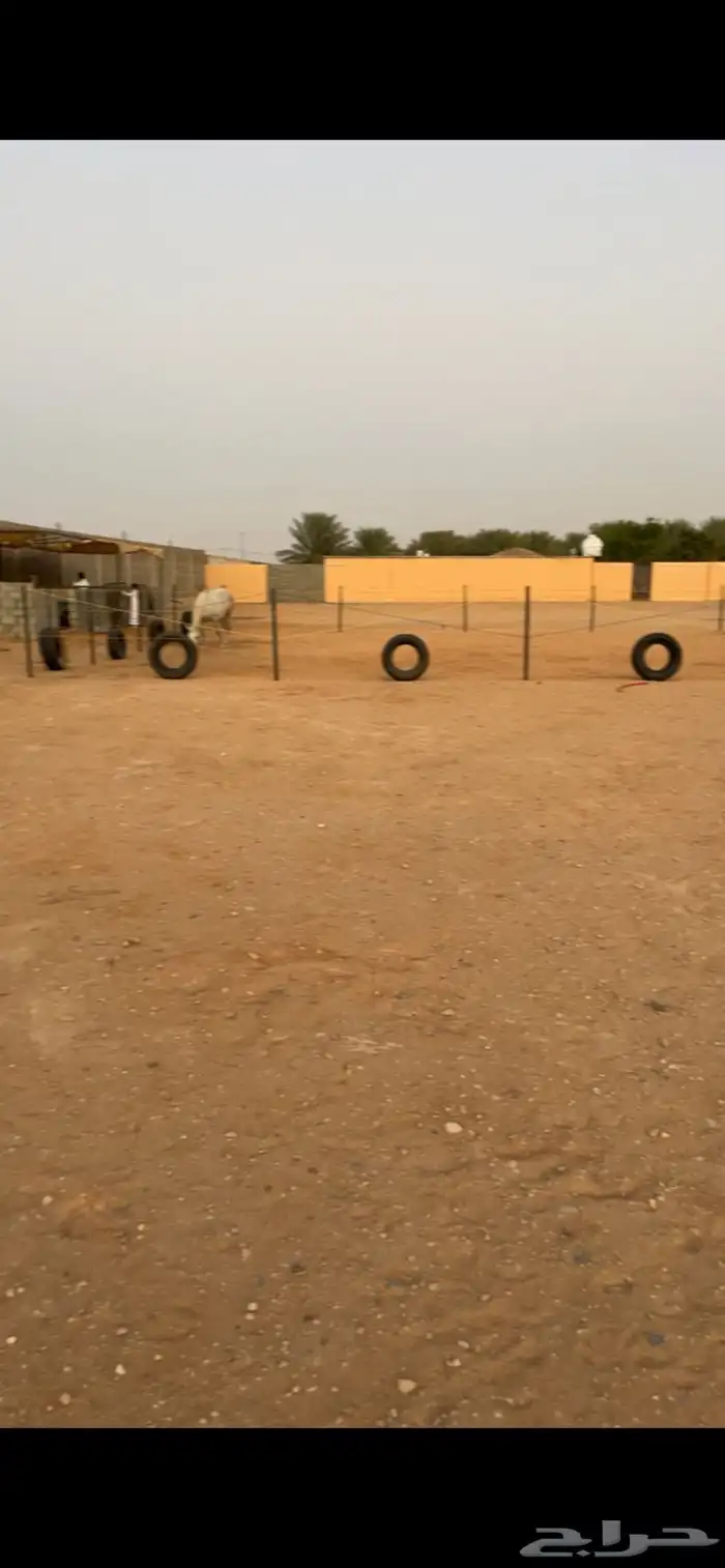 اسطبل ايواء خيل 0