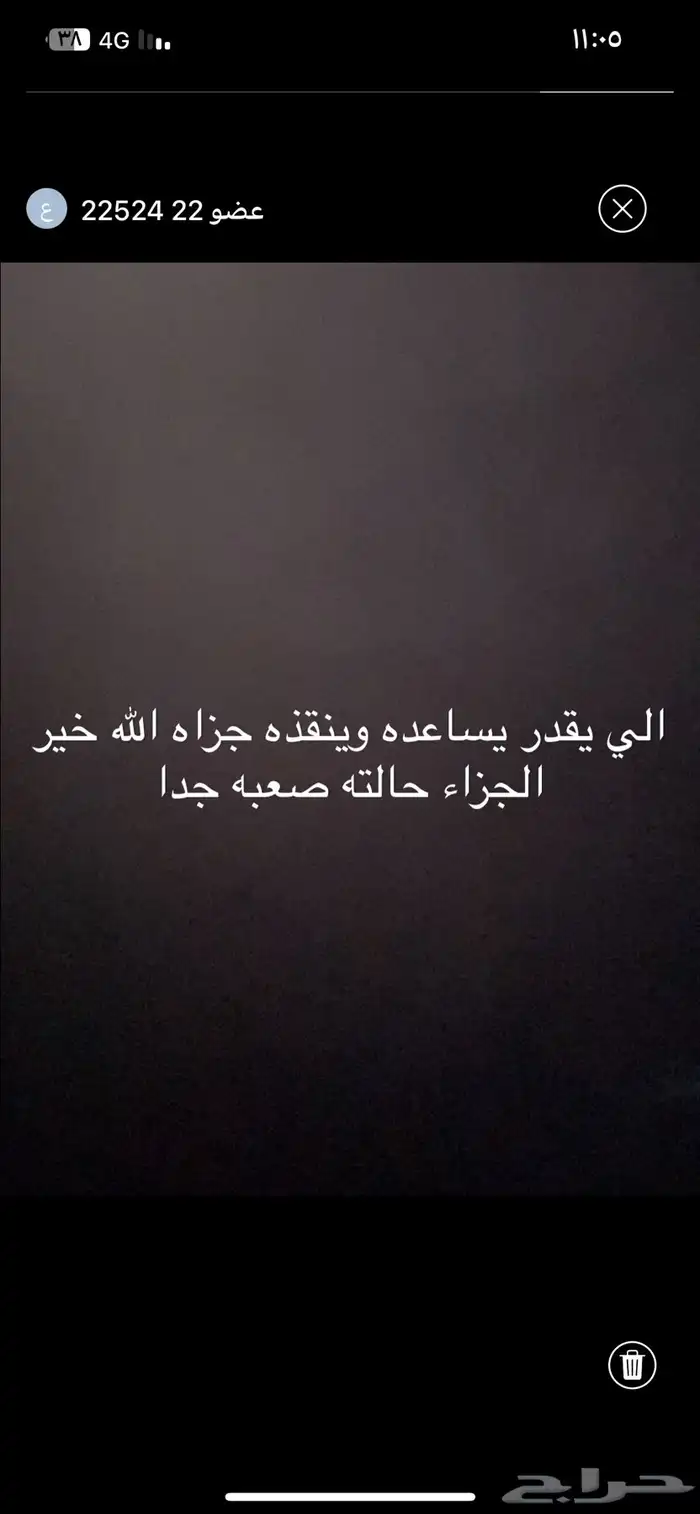 مساعده قطط 2