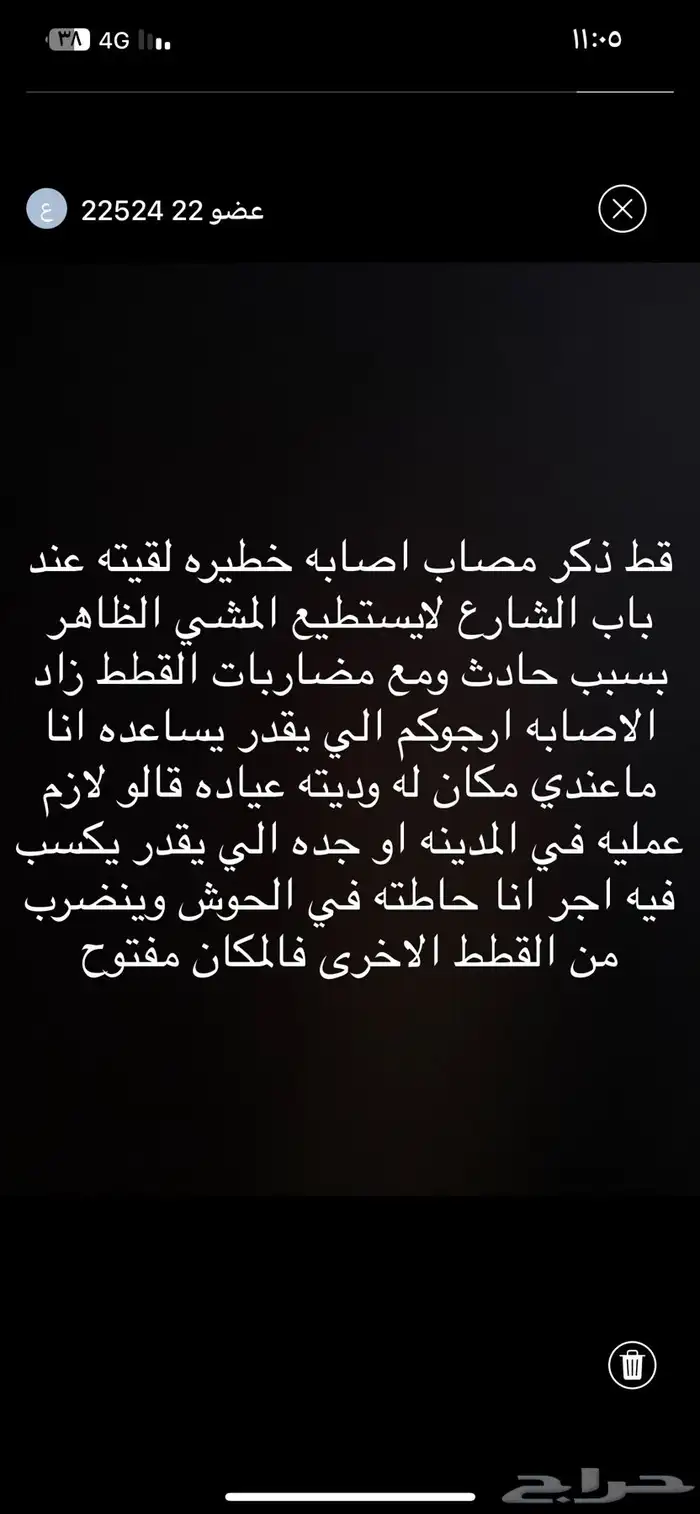 مساعده قطط 1