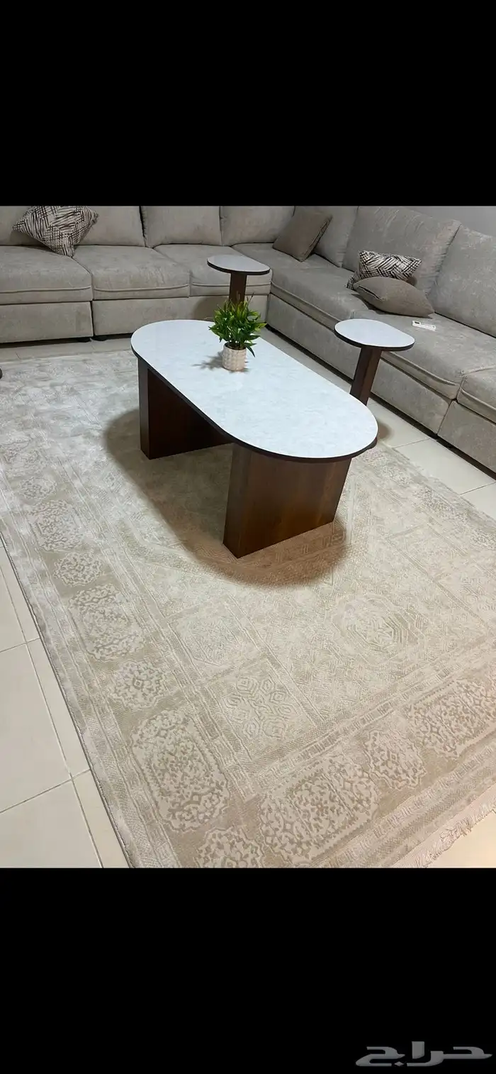 اثاث صالة جديد 0