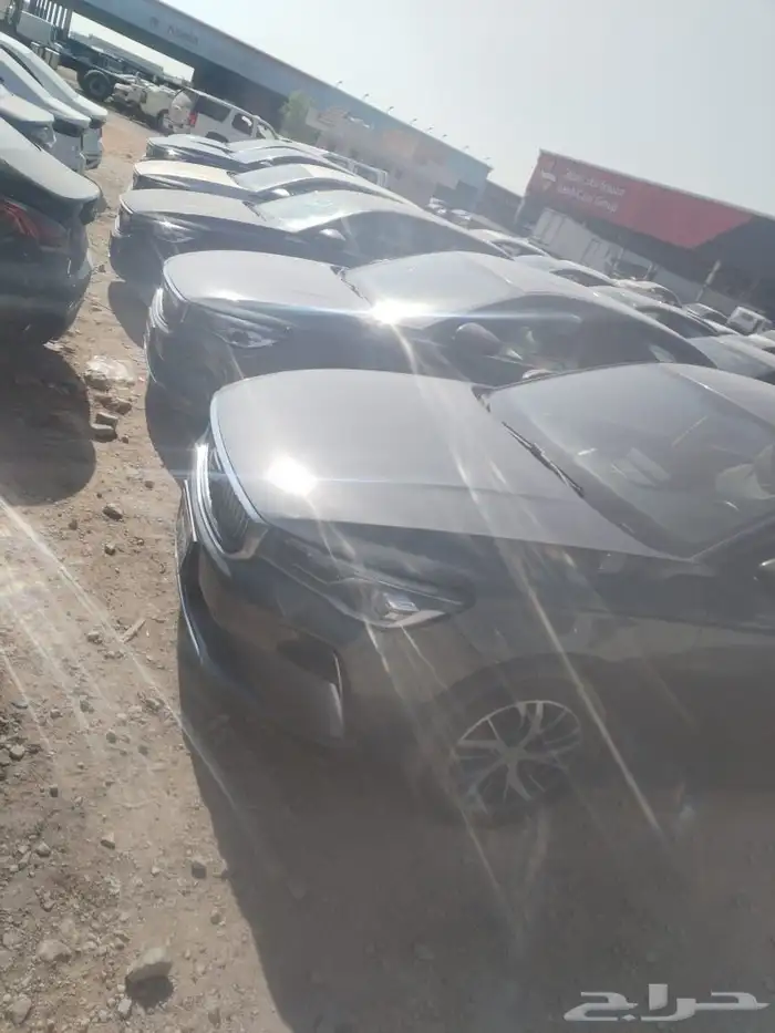جالي ام جرند 2023 2