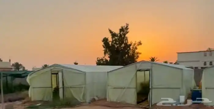 بيوت محميه 0