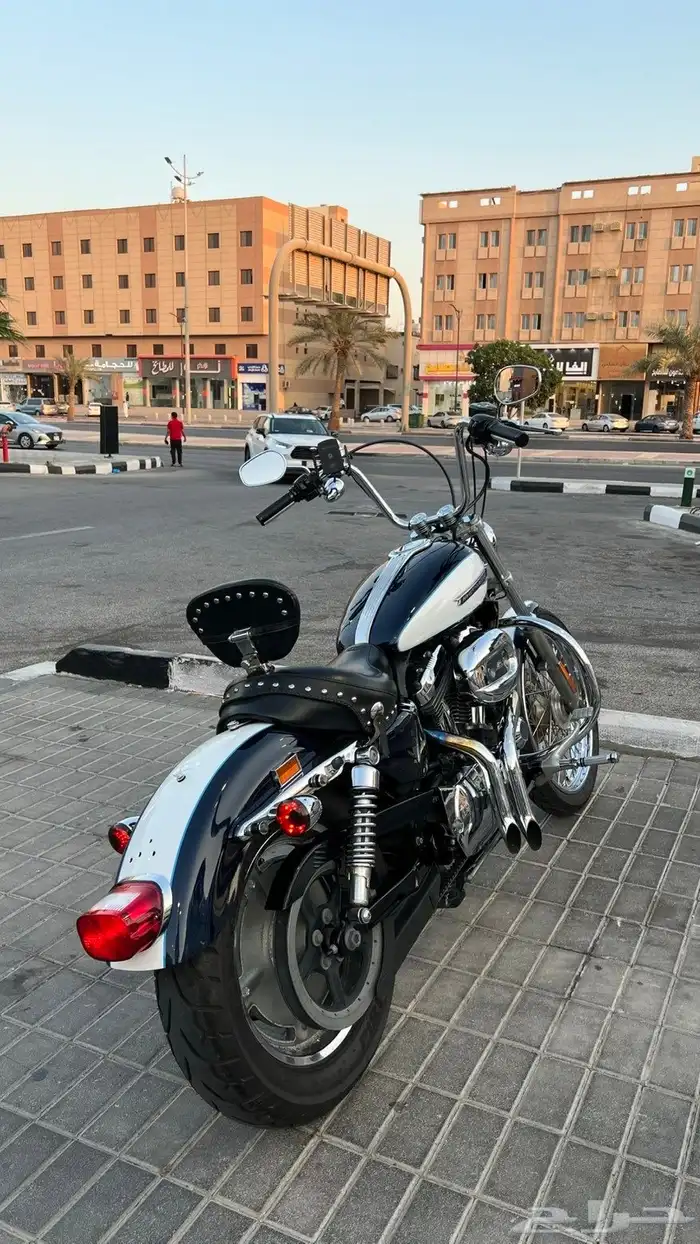 هارلي اسبوستر 1200 3