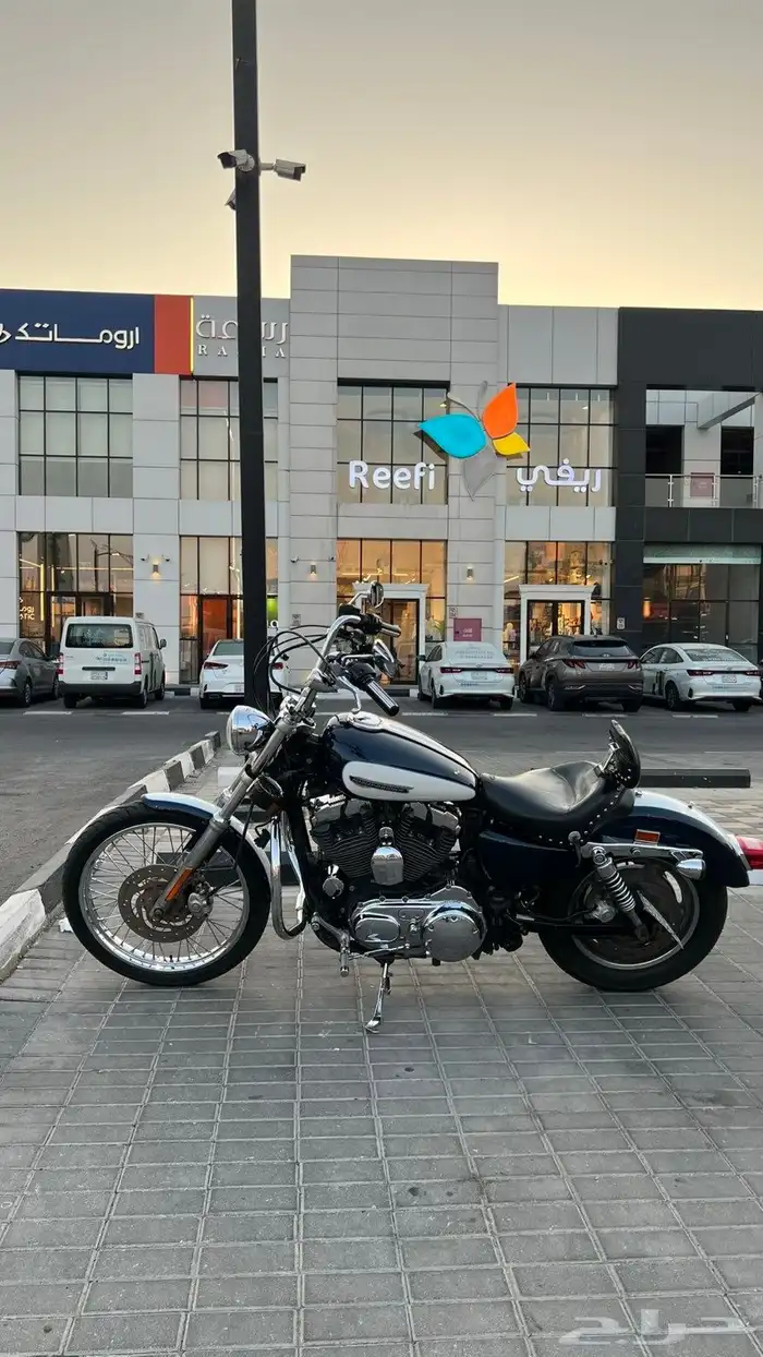 هارلي اسبوستر 1200 0