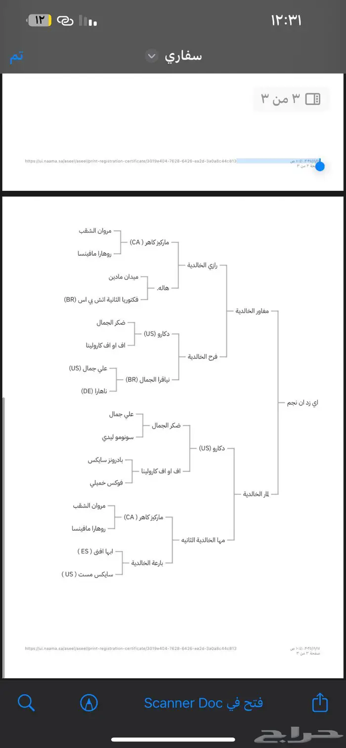 للبيع حصان عربي اصيل 0