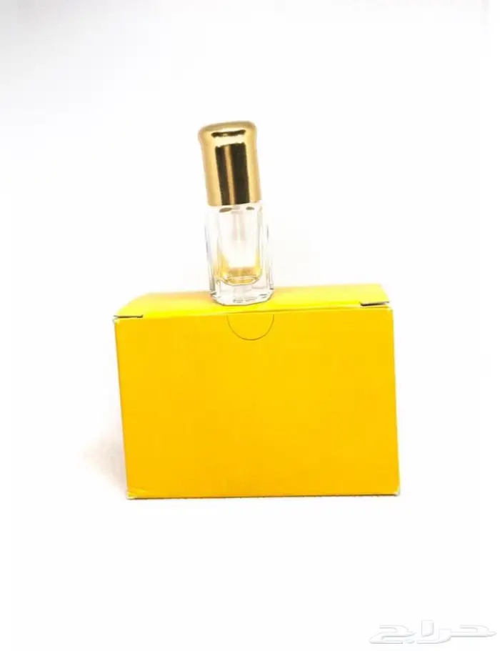 توله فاضية تولات فاضيه ميل توله فارغه 4