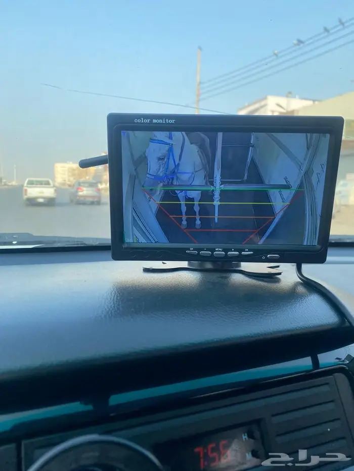 نقل خيل داخل وخارج جدة عربة ايفور ويليام 3