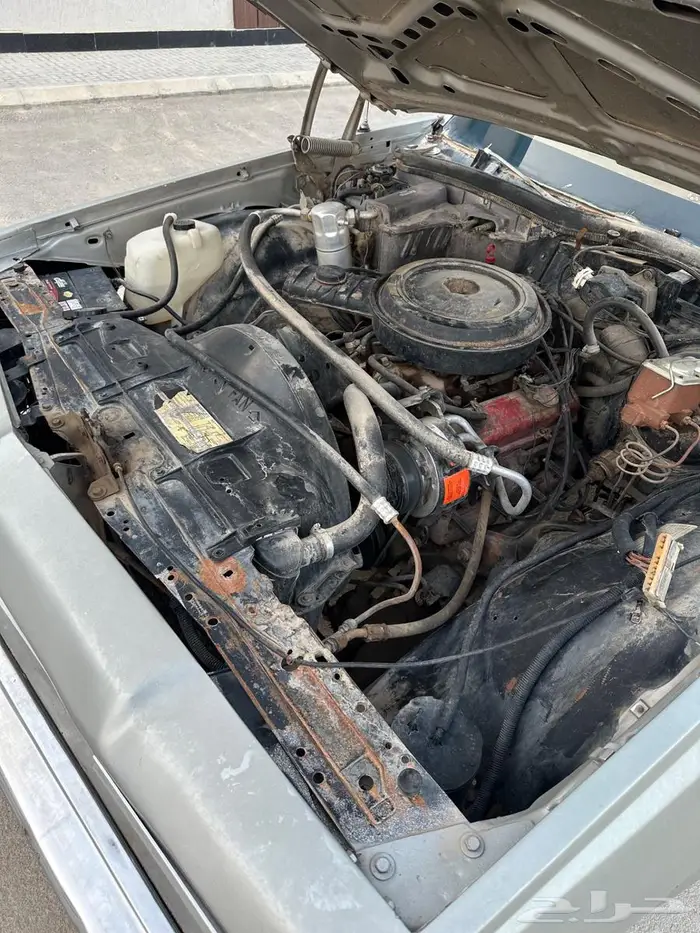 امبالا 1977 11