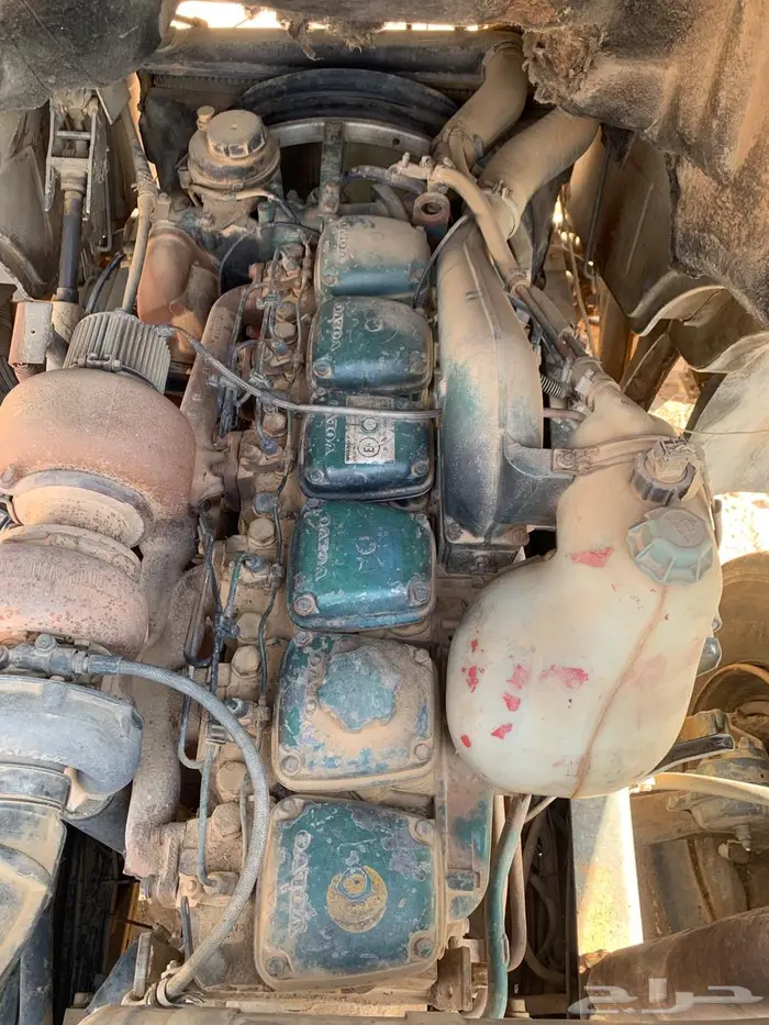 راس فلفو مديل 96 مسقط للبيع 4