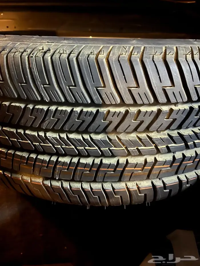 كراون فكتوريا 2011 8