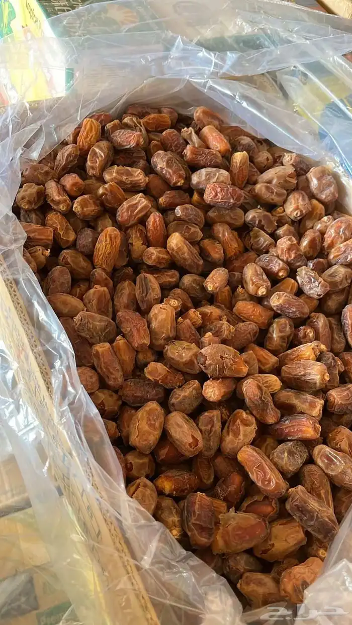 يوجد تمور مشكله نبوت سلطان نبوت سيف برحي سلج خصاب وو 2