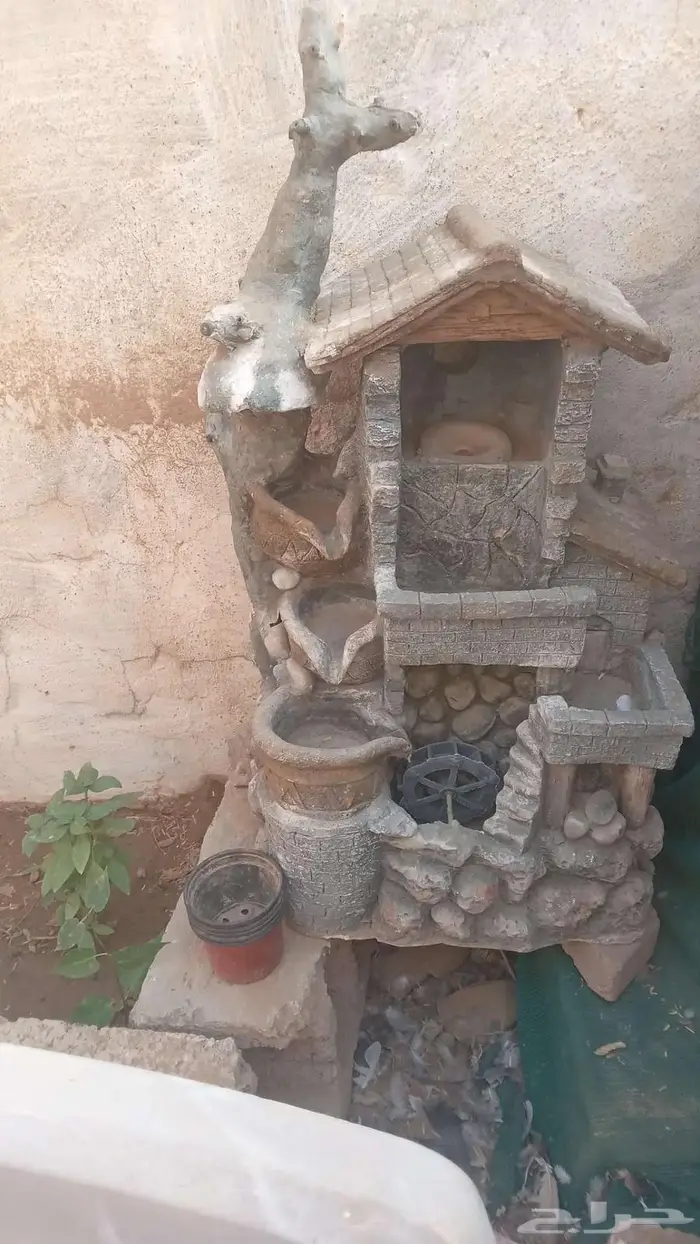 حمام عراقي إناث  ويوجد شلال زينه وللطيور تحت صور الحمام 1