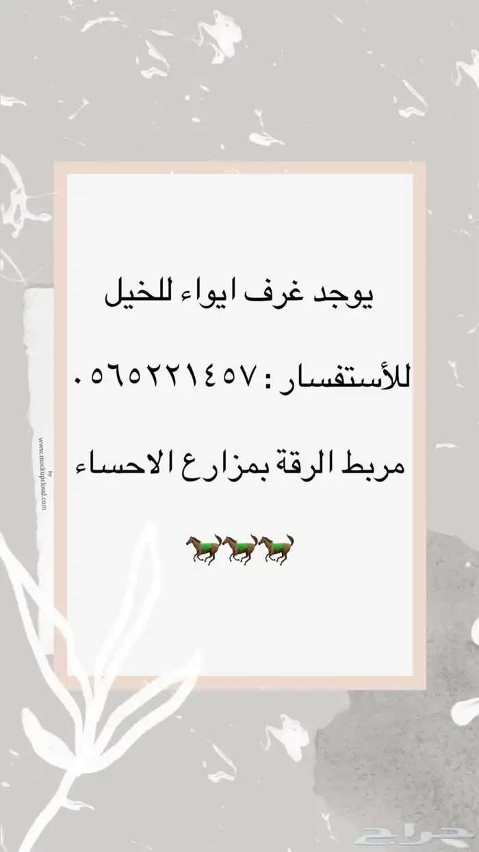 بايكات ايوا طريق الخيات 0