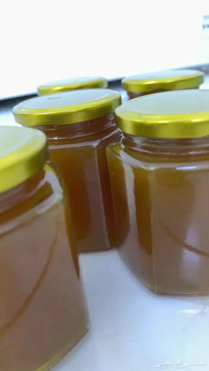 عسل سدر انتاج جديد عسل مضمون 3