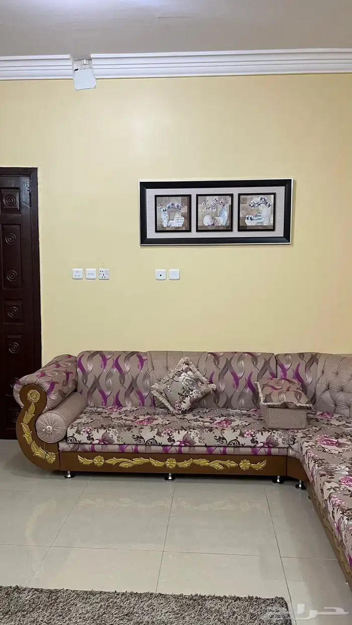 مجلس ومدخل 6