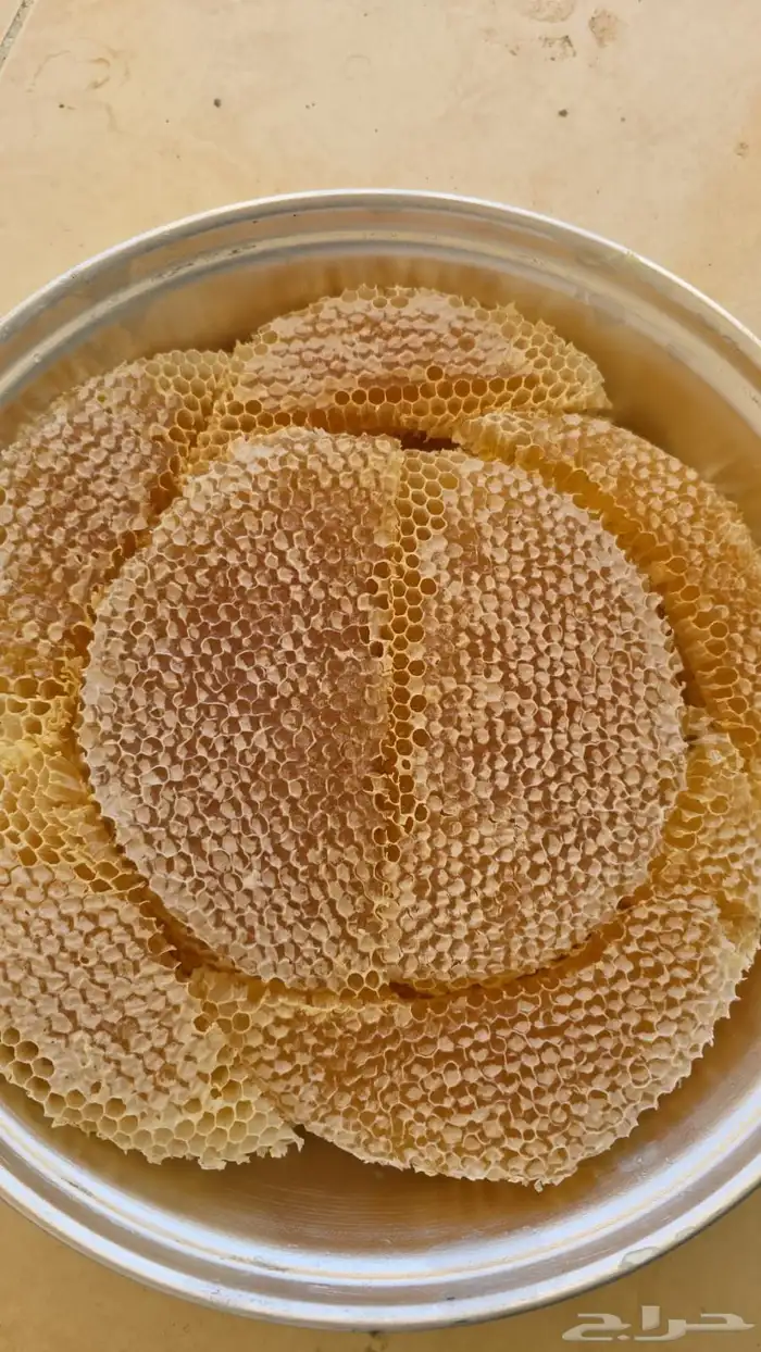 عسل سدر انتاج جديد عسل مضمون 1