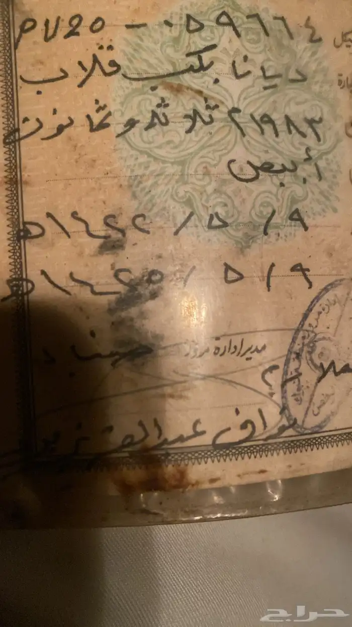 ديانه مديل83 6