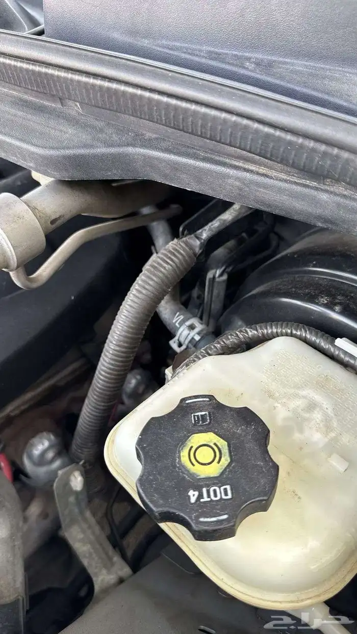 كابرس 2013 مخزن 8