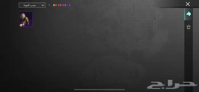 حساب ببجي للبيع 17